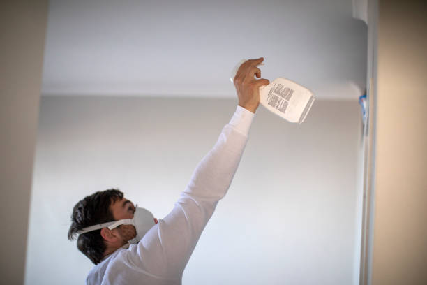 Best Mold Remediation  in Lordsburg, NM