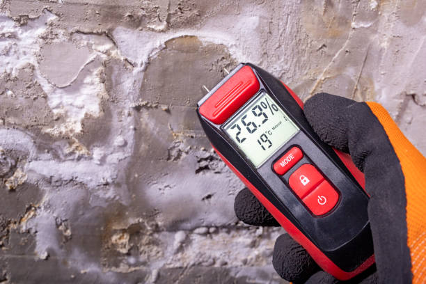 Office Mold Removal Services in Lordsburg, NM